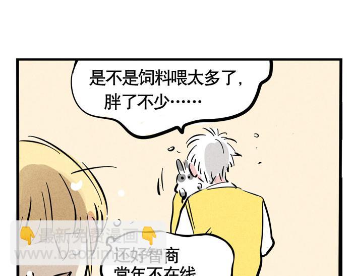 第49话 我要养兔子(1/2)-第49话