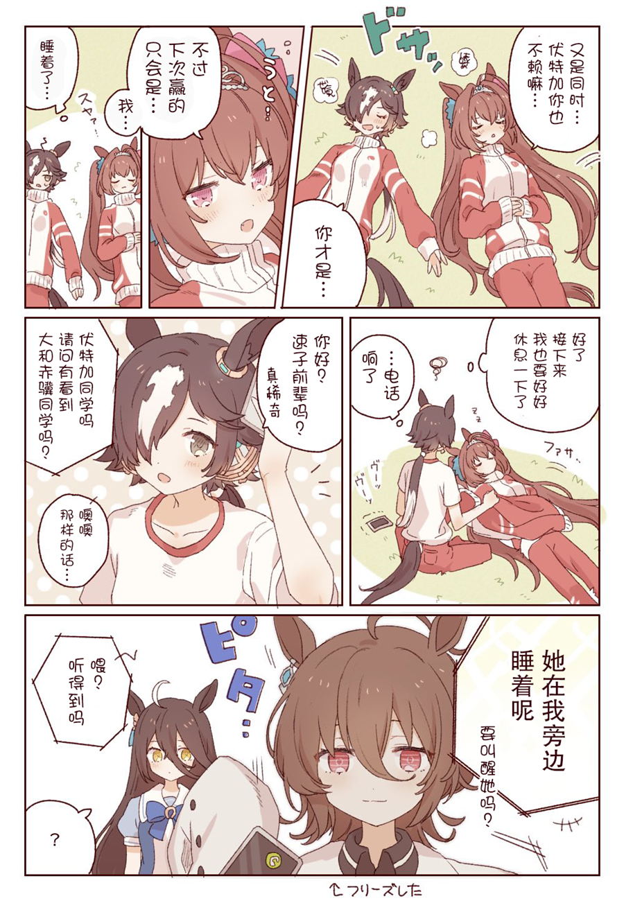 🍣推特赛马娘同人 大和跟伏特加 第1页
