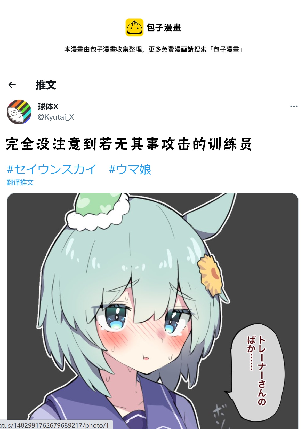 🍣推特赛马娘同人 大木头训练员 第1页