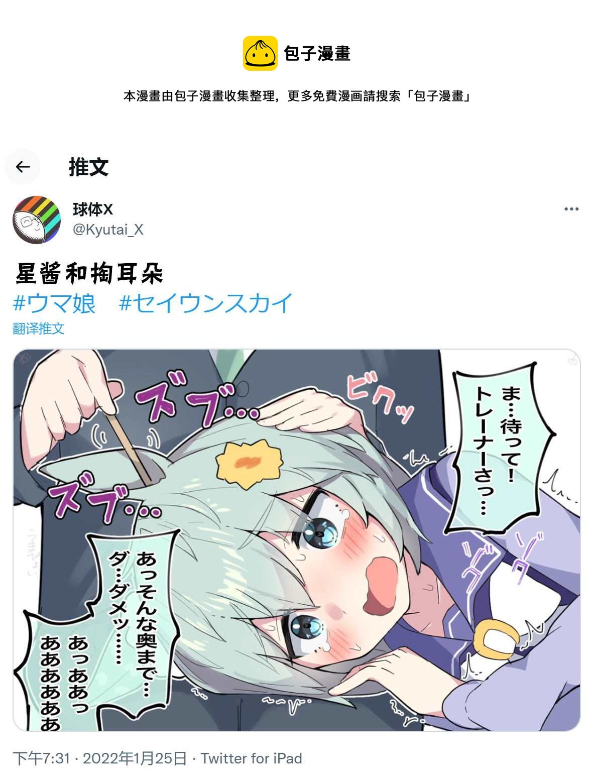 🍣推特赛马娘同人 星酱跟掏耳朵 第1页