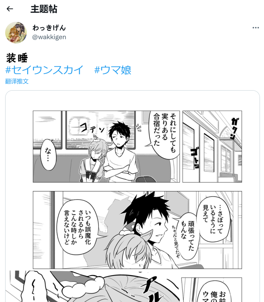 🍣推特赛马娘同人 装睡的sky 第2页