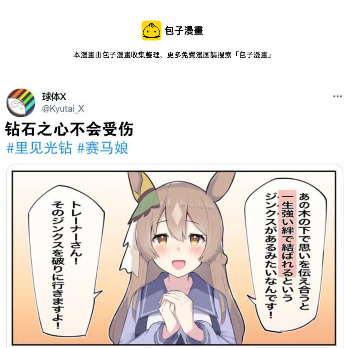 🍣推特赛马娘同人 鉆石之心不会受伤 第1页