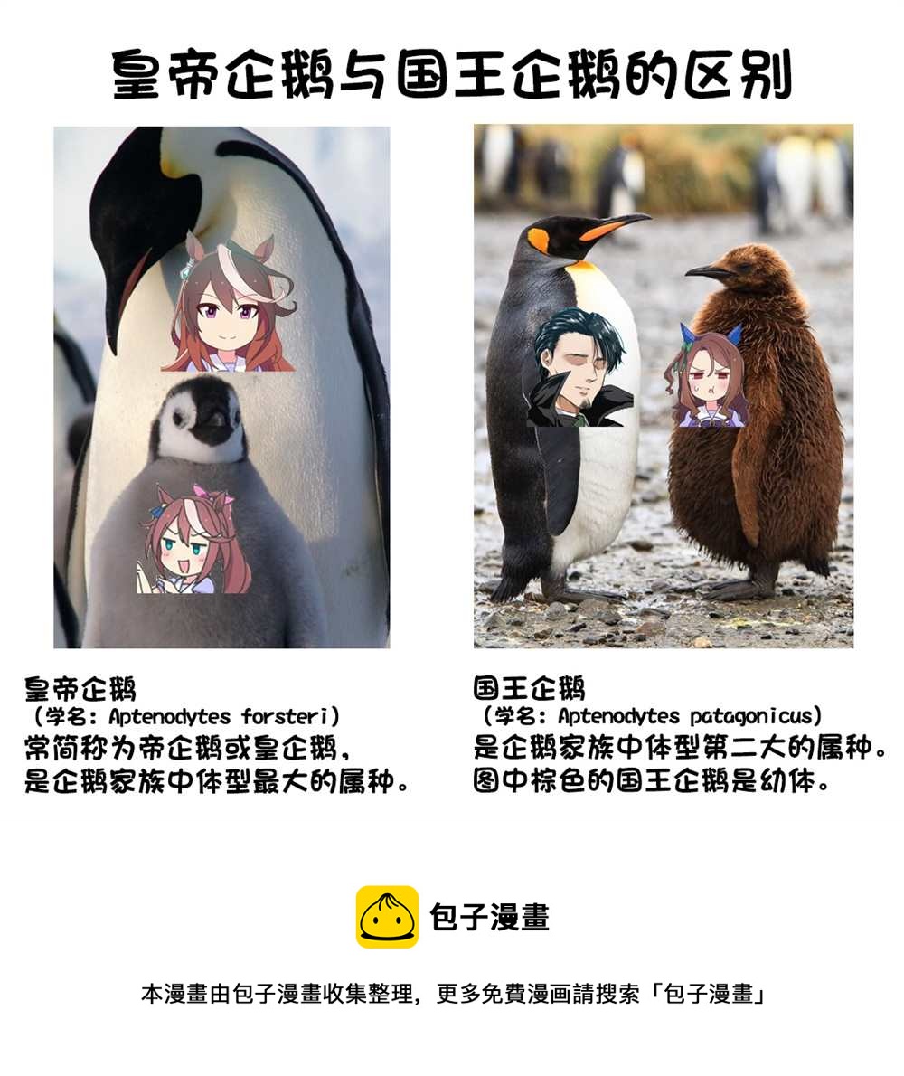 🍣推特赛马娘同人 企鹅世代 第7页