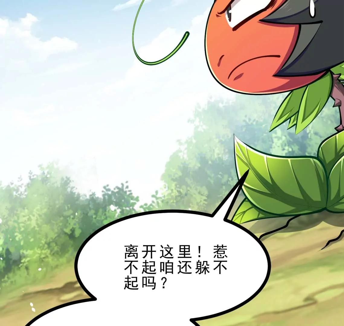 第21话 大炮当花盆(1/2)-第21话