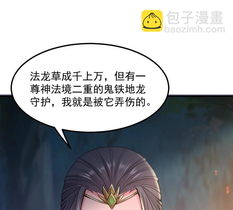 第149话 成千上万法龙草(1/2)-第215话