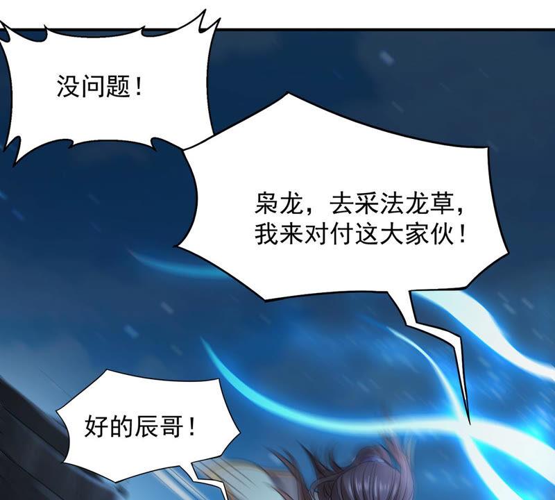第149话 成千上万法龙草(1/2)-第215话