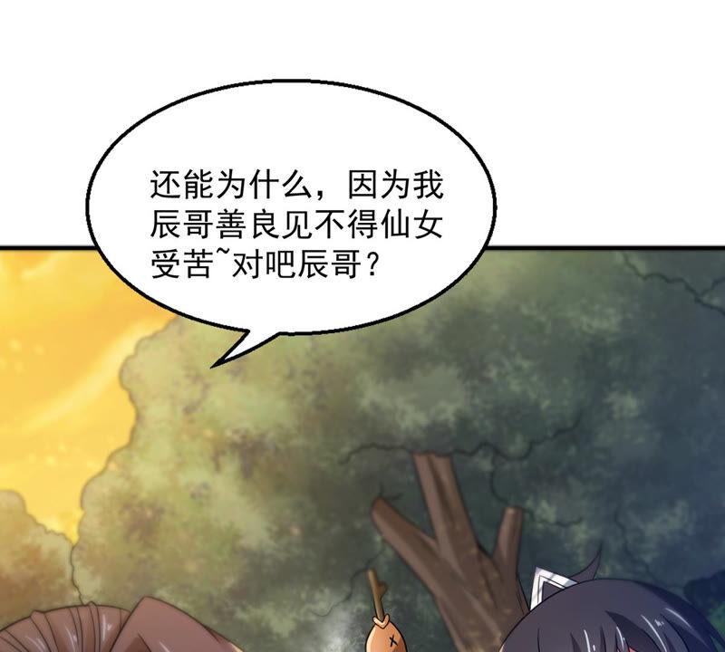 第149话 成千上万法龙草(1/2)-第215话