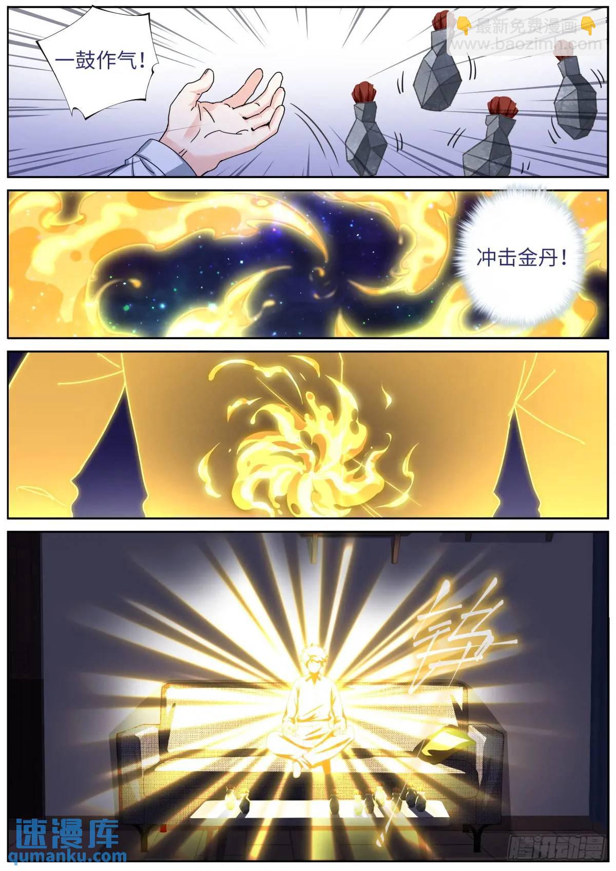 171 进阶，金丹！-第175话