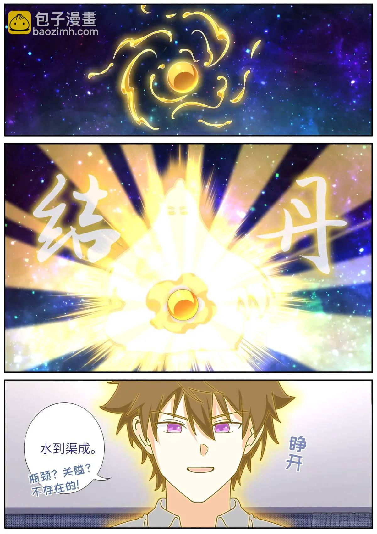 171 进阶，金丹！-第175话