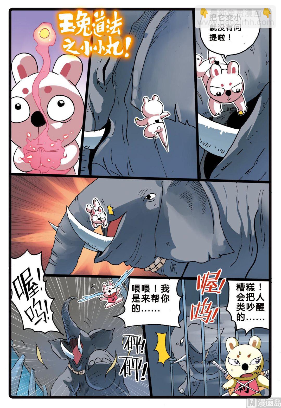第205话 拯救大象的行动-第205话