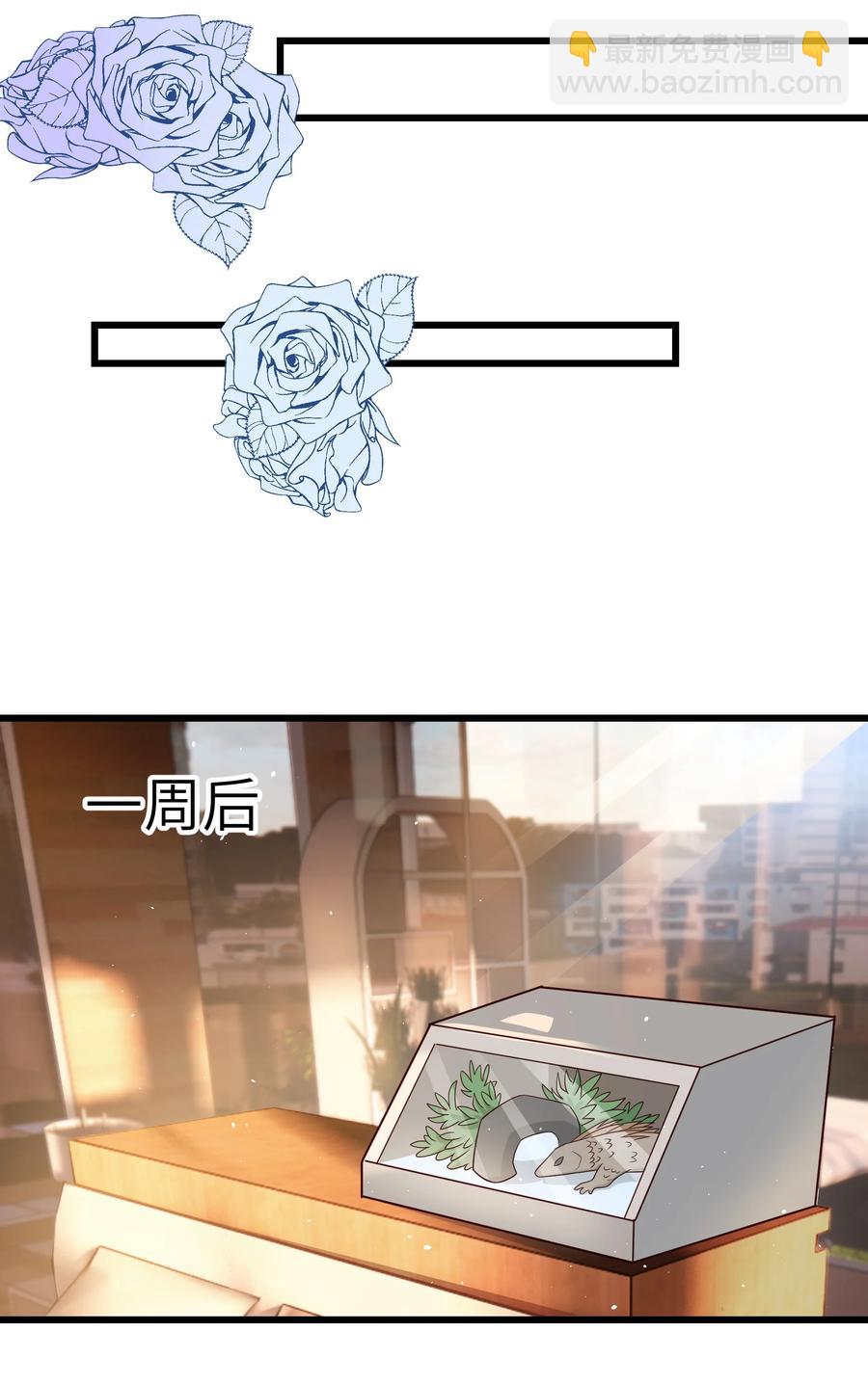 054 前辈辛苦！-第53话