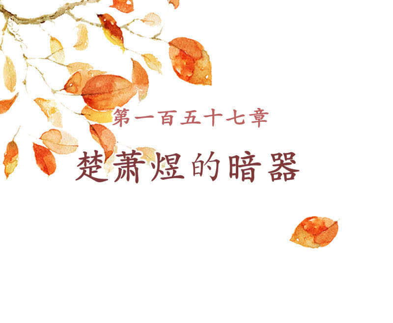第157话 楚萧煜的暗器-第159话