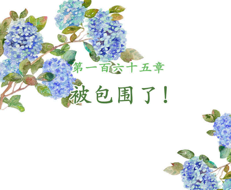 第165话 被包围了！-第167话
