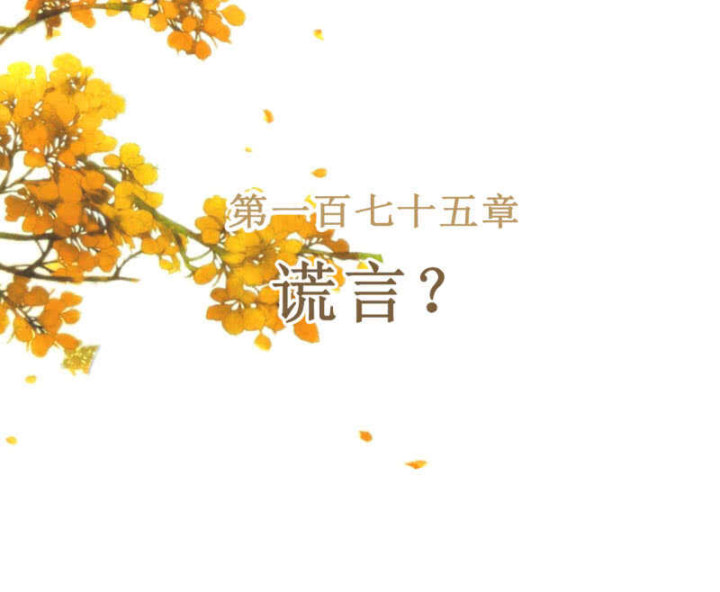 第175话 谎言？(1/2)-第179话