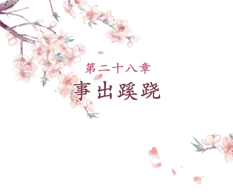 第28话-第29话