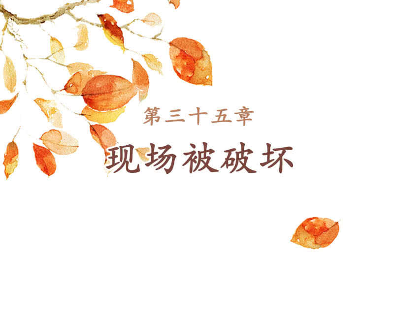 第35话-第37话