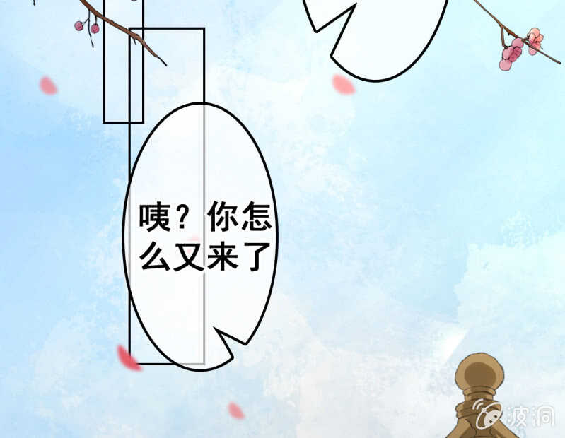 第41话(1/2)-第43话