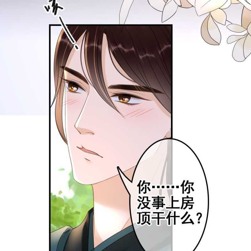 第67话(1/2)-第69话