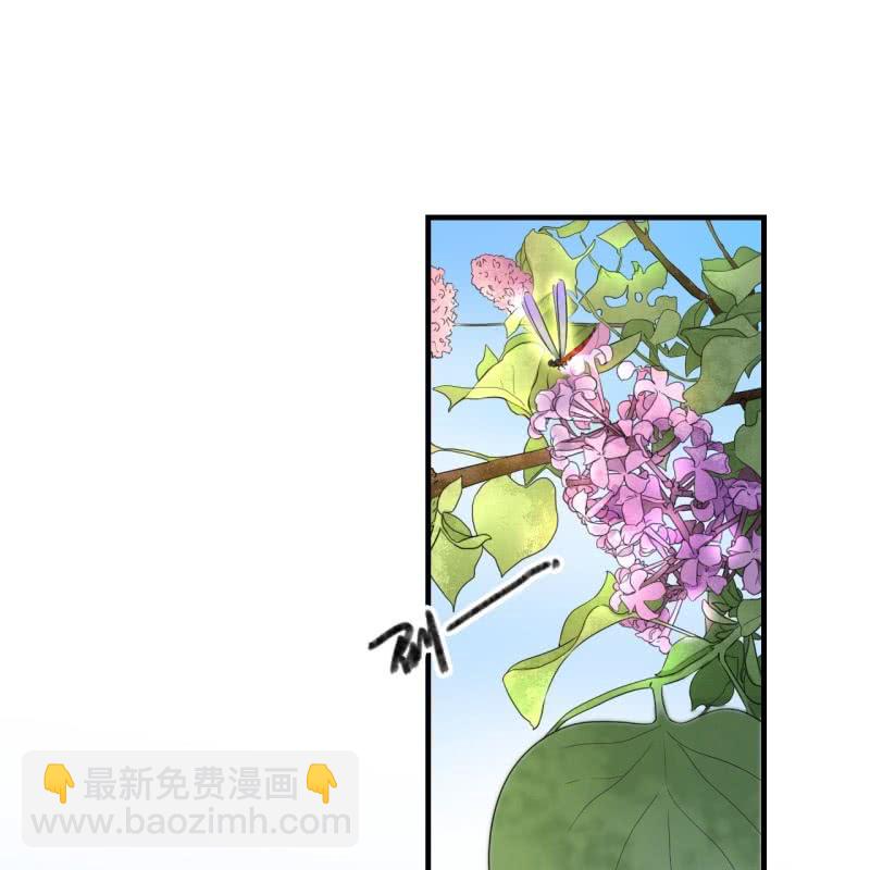 第79话-第81话