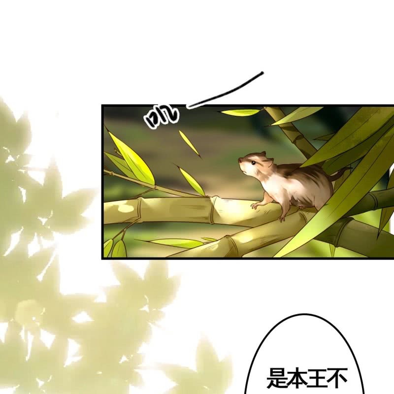 第81话-第83话