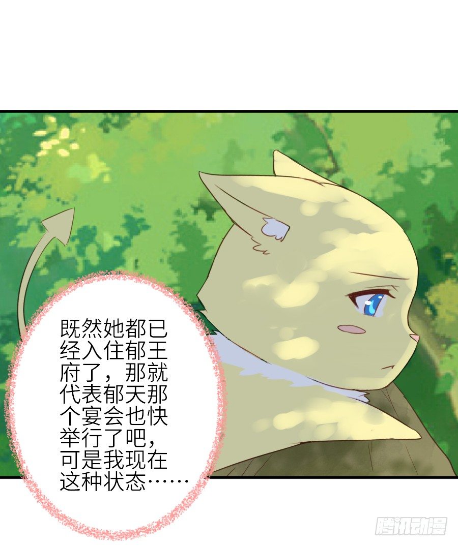 男主就应该有不输于女主的桃花(1/2)-第31话