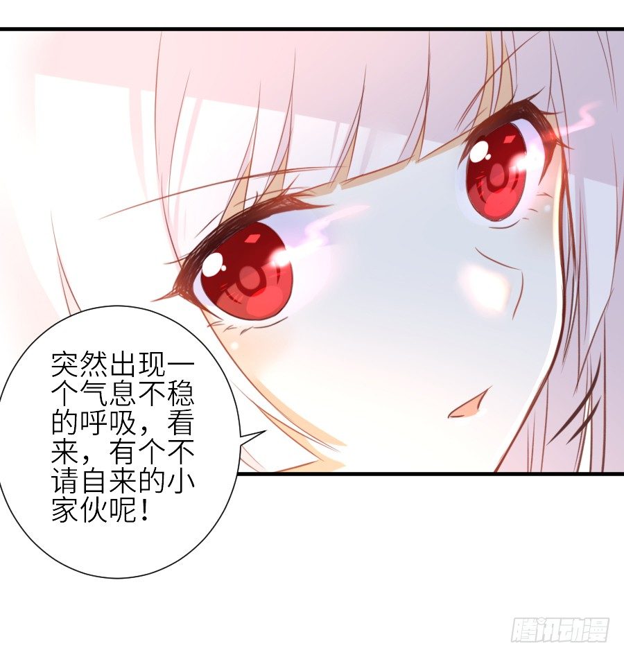 男主就应该有不输于女主的桃花(1/2)-第31话