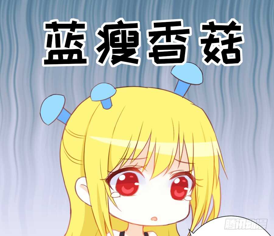 女主卖萌啦~(1/2)-第51话