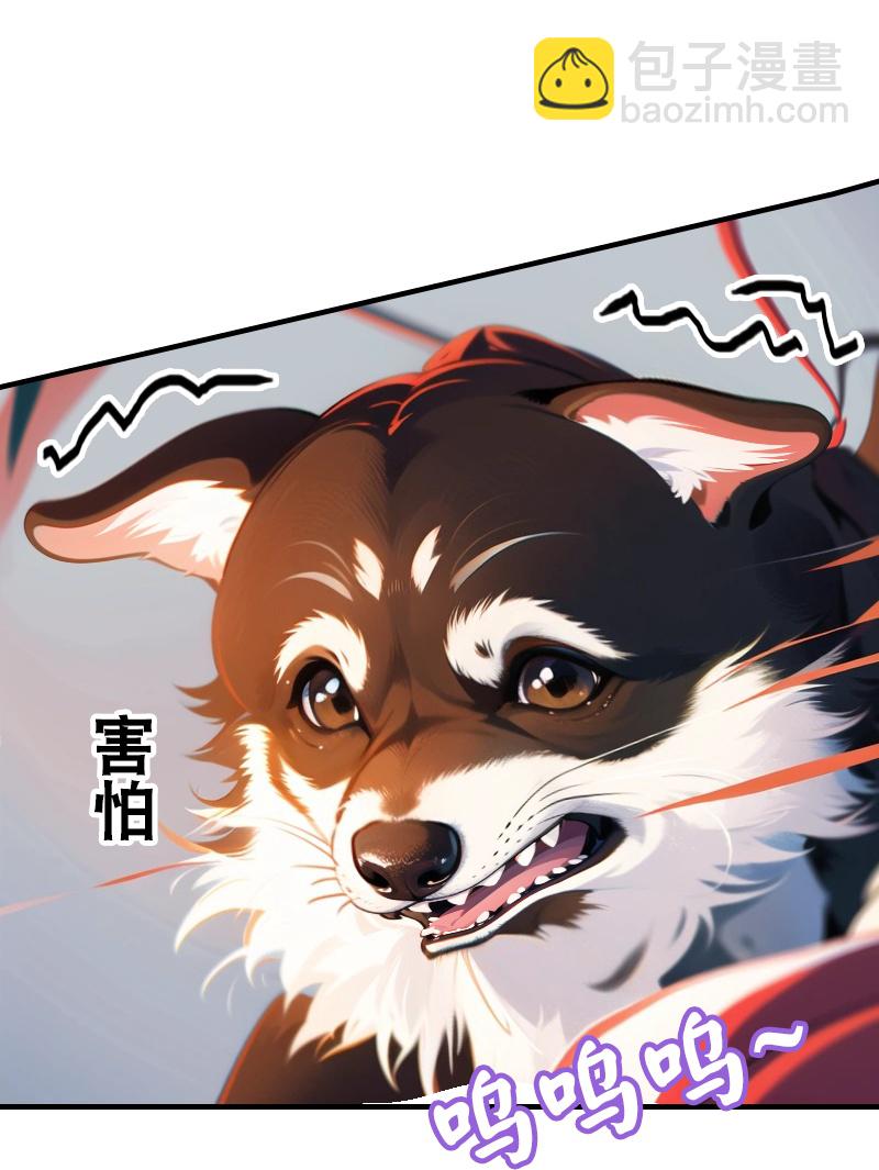 第193话 新计划开始-第253话