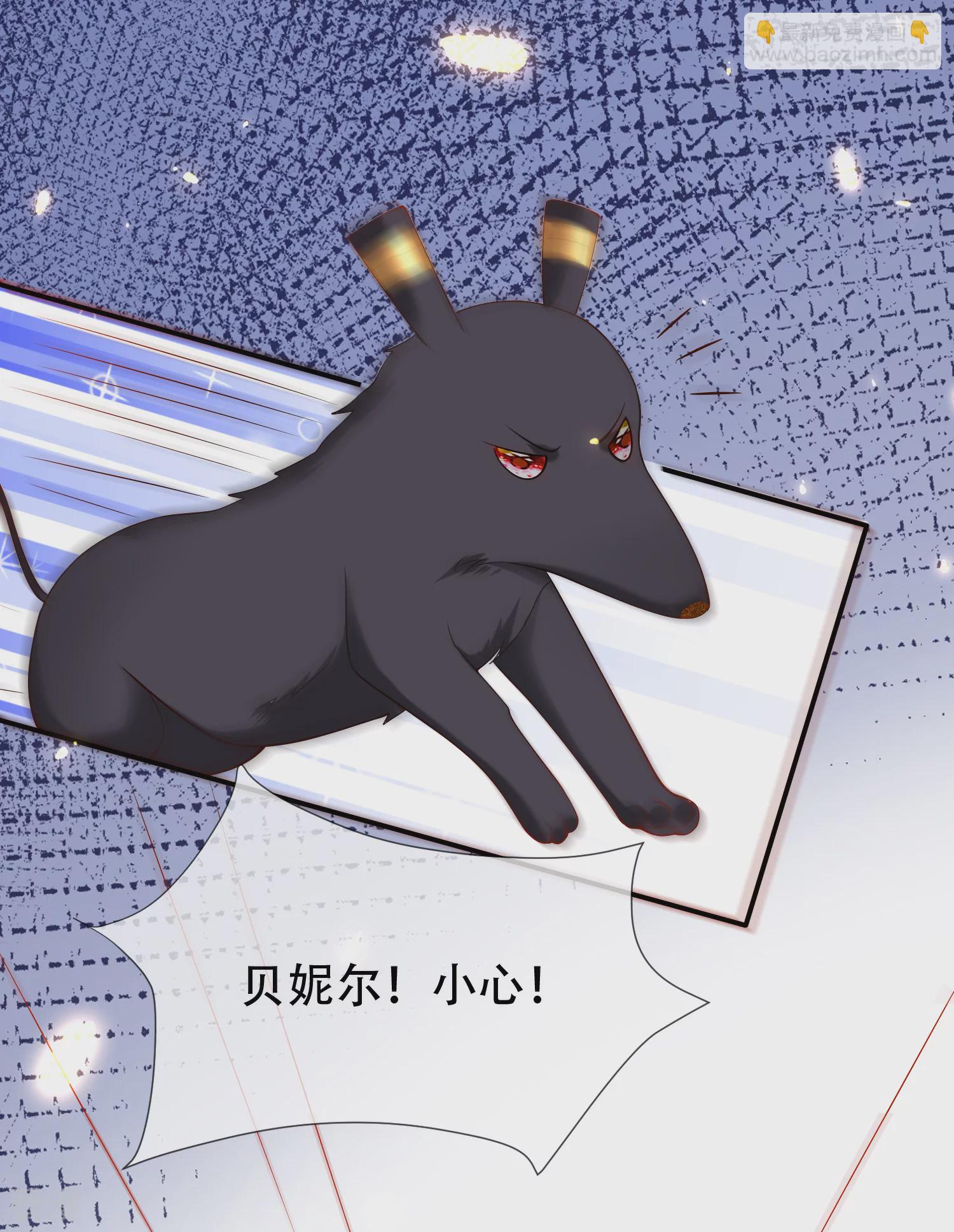 第43话 永远最好的佩奇-第65话