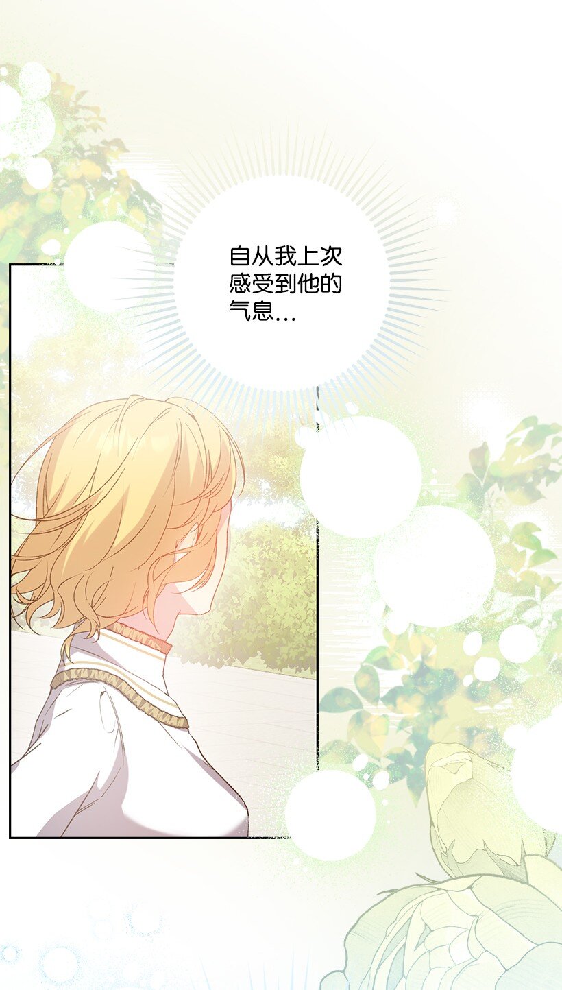 番外25 悄悄外出(1/2)-第183话