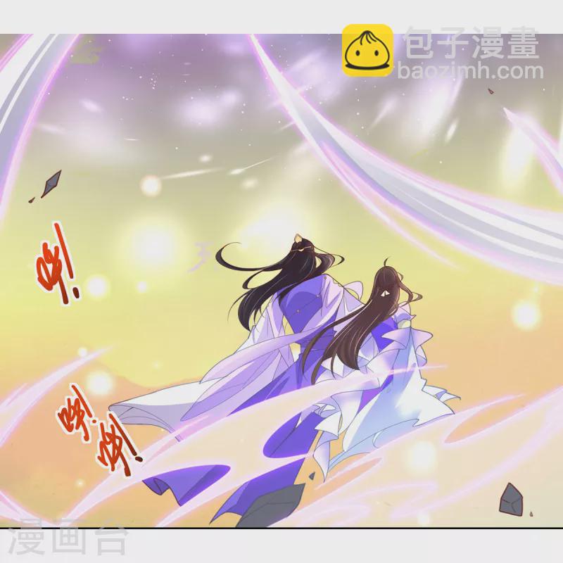 🍘王妃的修仙指南 第117话 大人出现 第12页