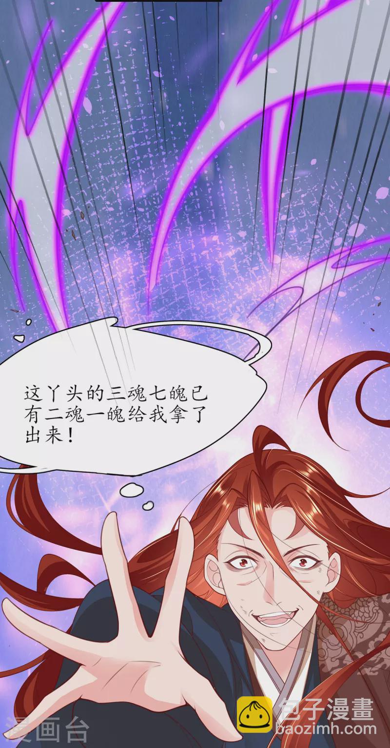 🍘王妃的修仙指南 第119话 化灵符 第24页