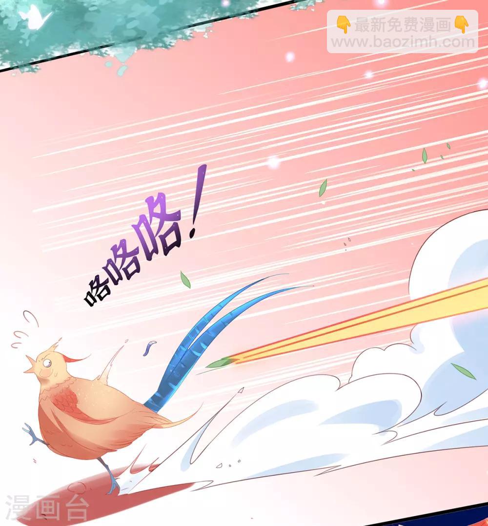 🍘王妃的修仙指南 第30话 为你下厨 第13页
