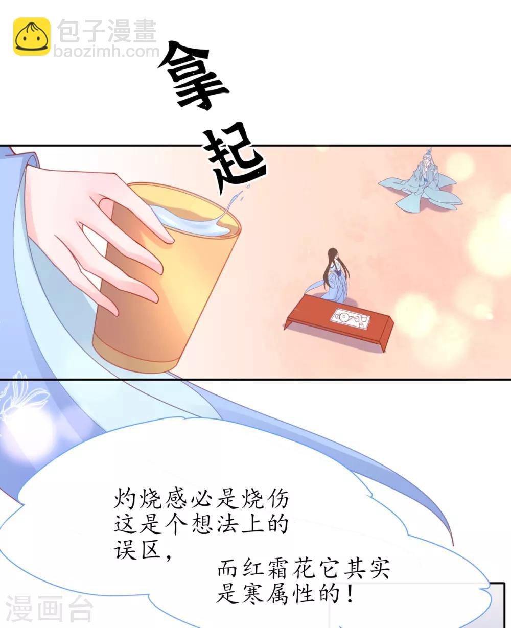 🍘王妃的修仙指南 第36话 竟然炼出了精品灵丹 第13页