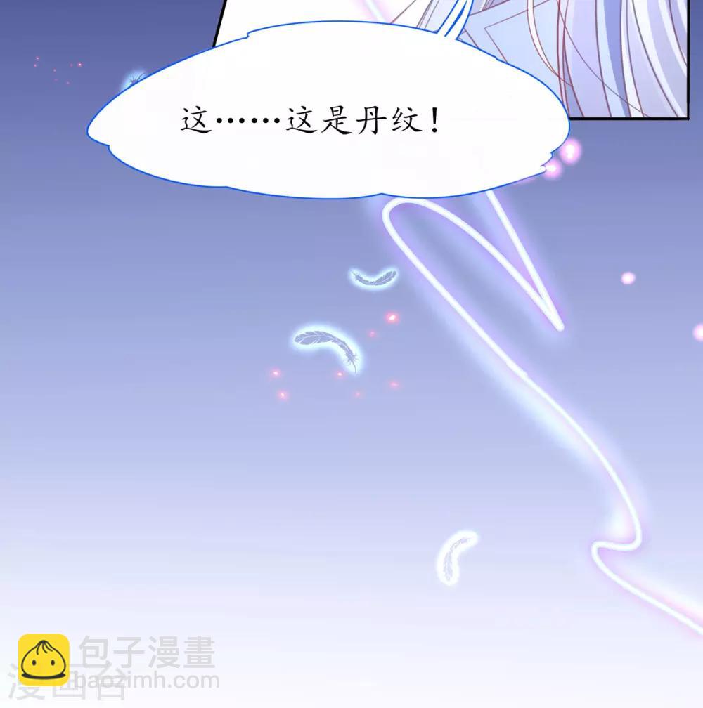 🍘王妃的修仙指南 第36话 竟然炼出了精品灵丹 第29页