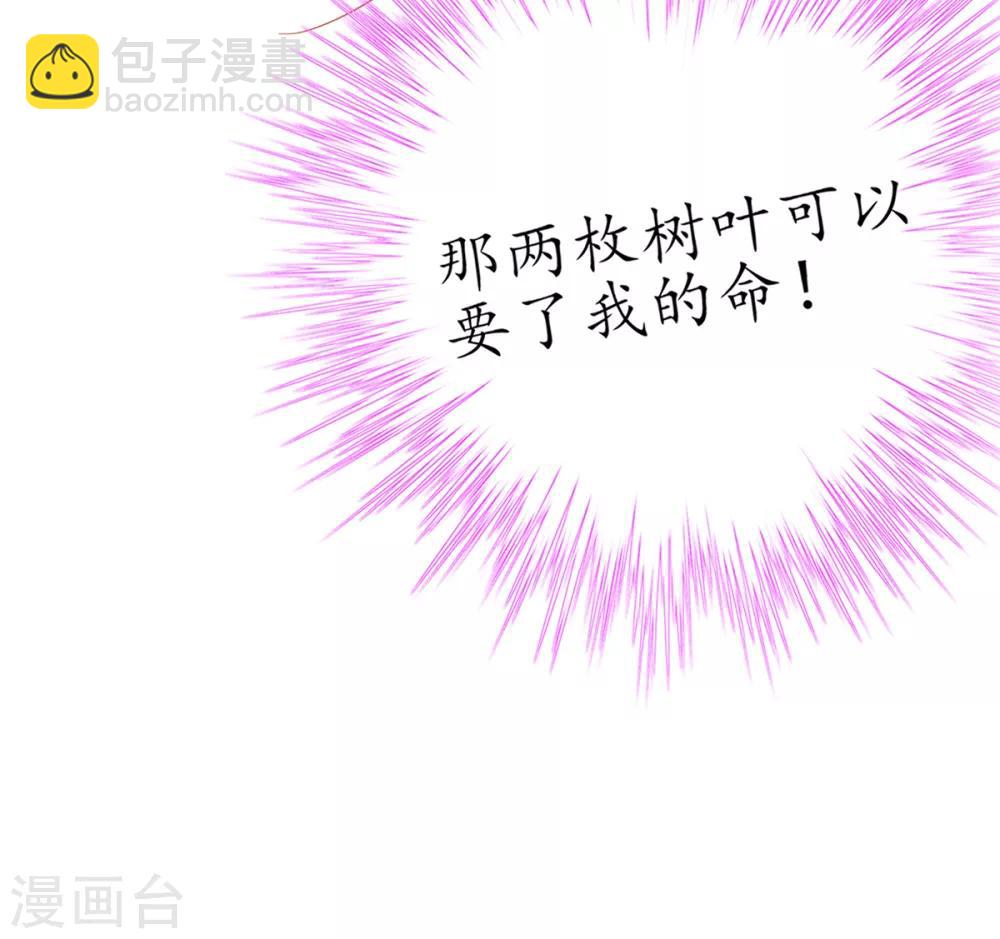 🍘王妃的修仙指南 第40话 君夜离中…毒了 第13页