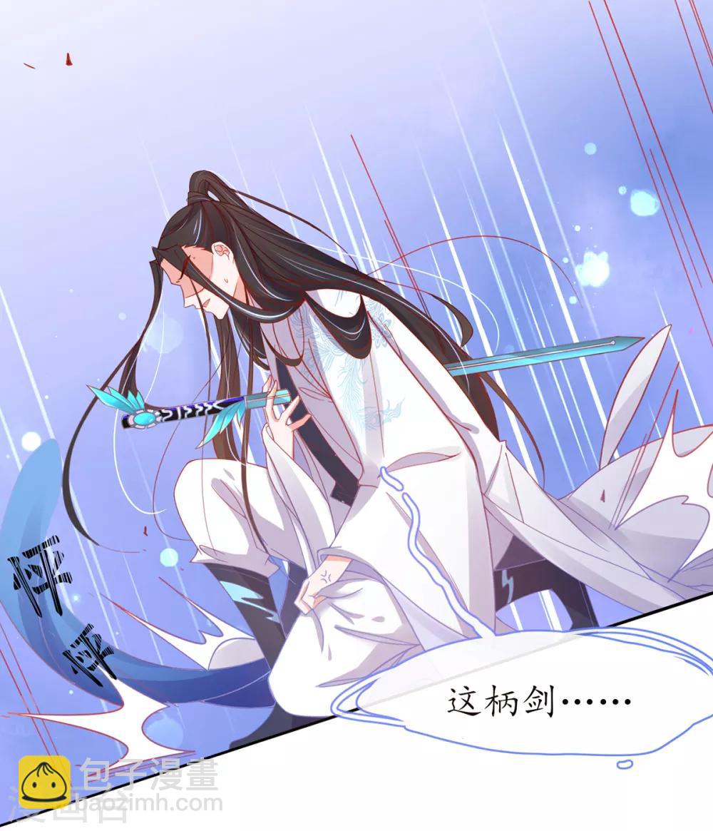 🍘王妃的修仙指南 第40话 君夜离中…毒了 第27页