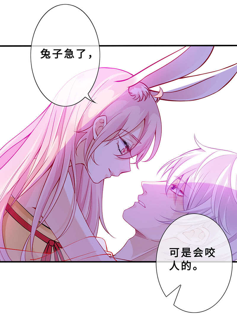 兔子急了会咬人(1/2)-第145话