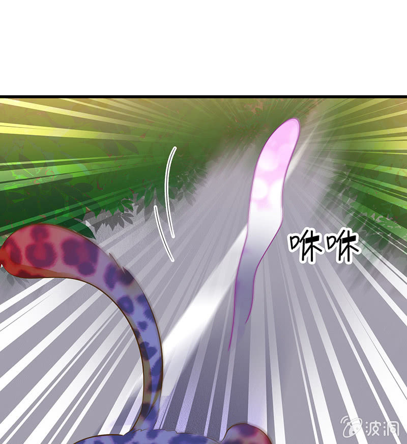 少女斗大猫(1/3)-第19话