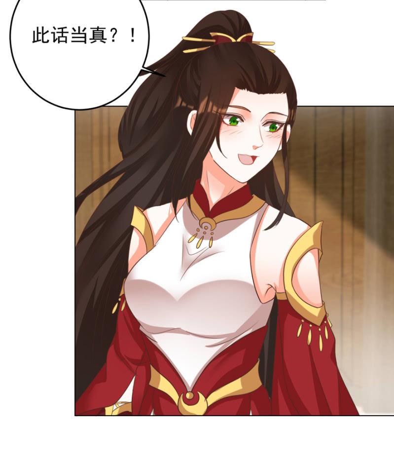活宝出场啦-第115话