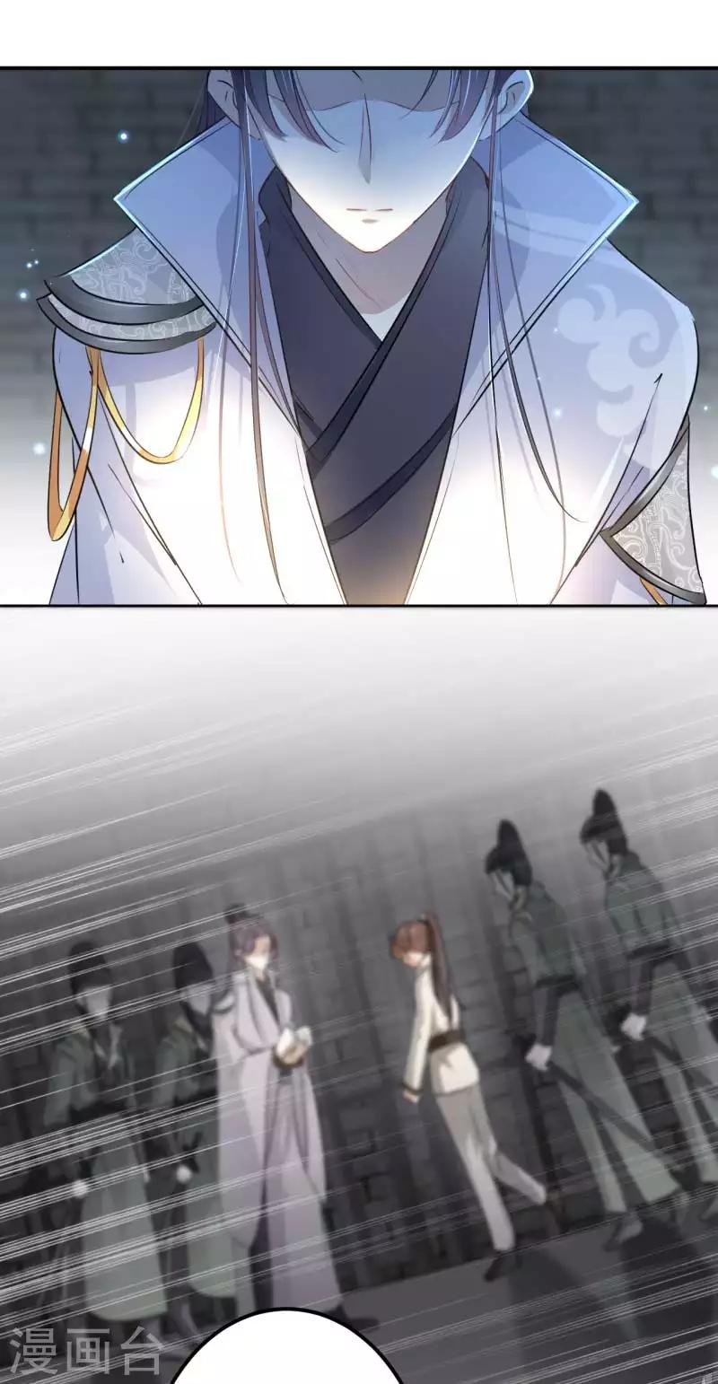 🍘王爷你好帅 第56话 柳清风VS安定王 第14页