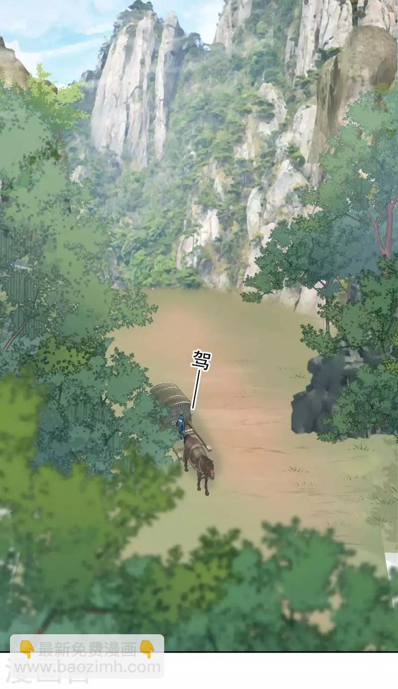 🍘王爷你好帅 第72话 传说中的药王谷 第30页