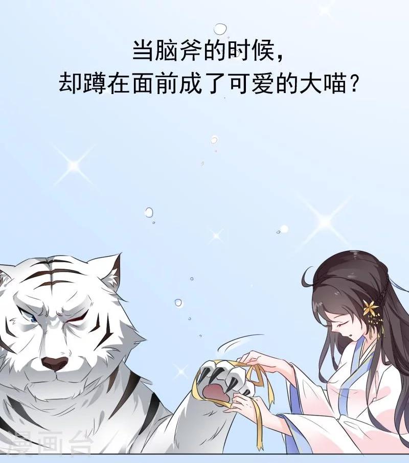 预告-第1话