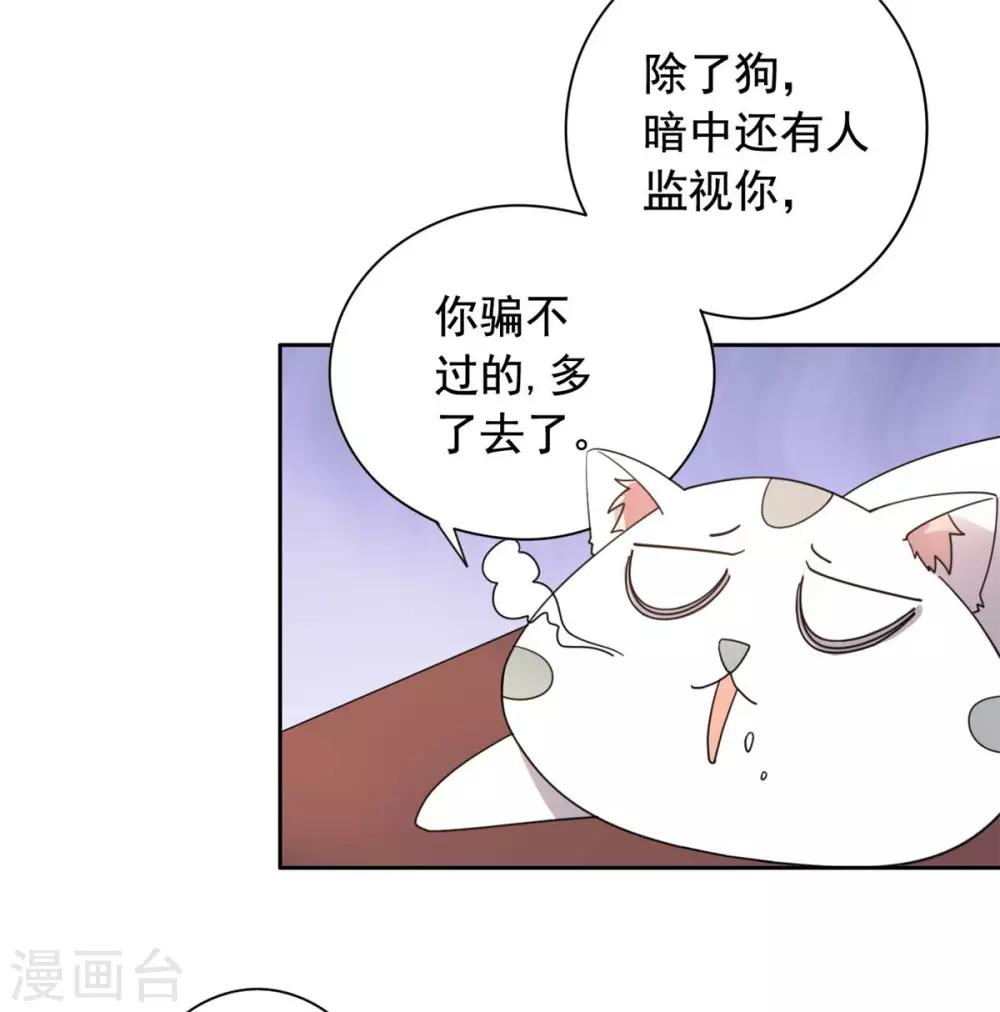 第22话 玩不过一只狗-第23话