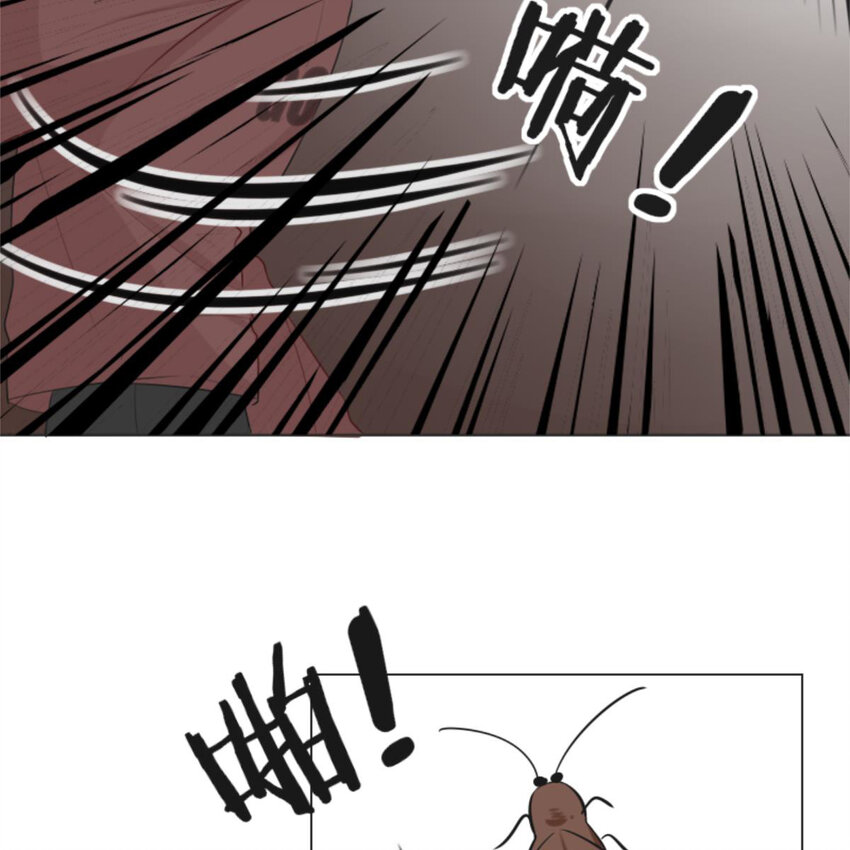 25 有蟑螂啊！会飞的！！-第27话