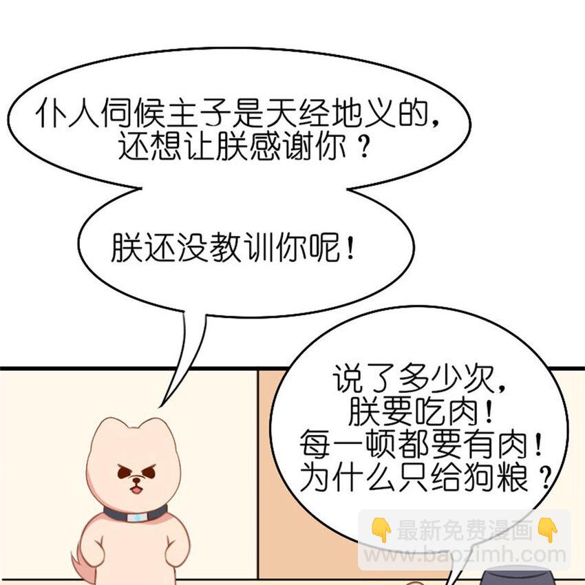 35 狗语翻译器(1/2)-第41话