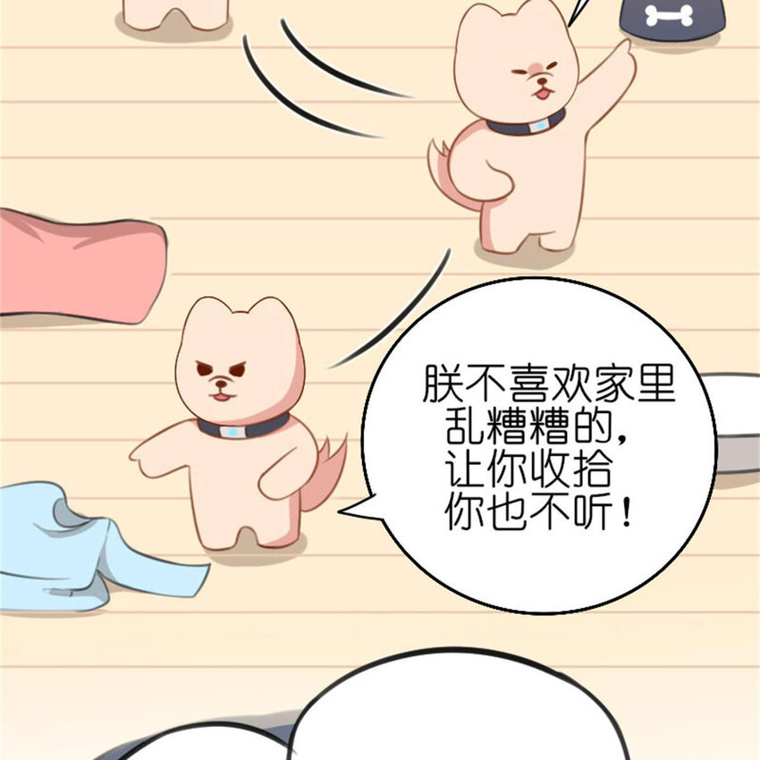 35 狗语翻译器(1/2)-第41话