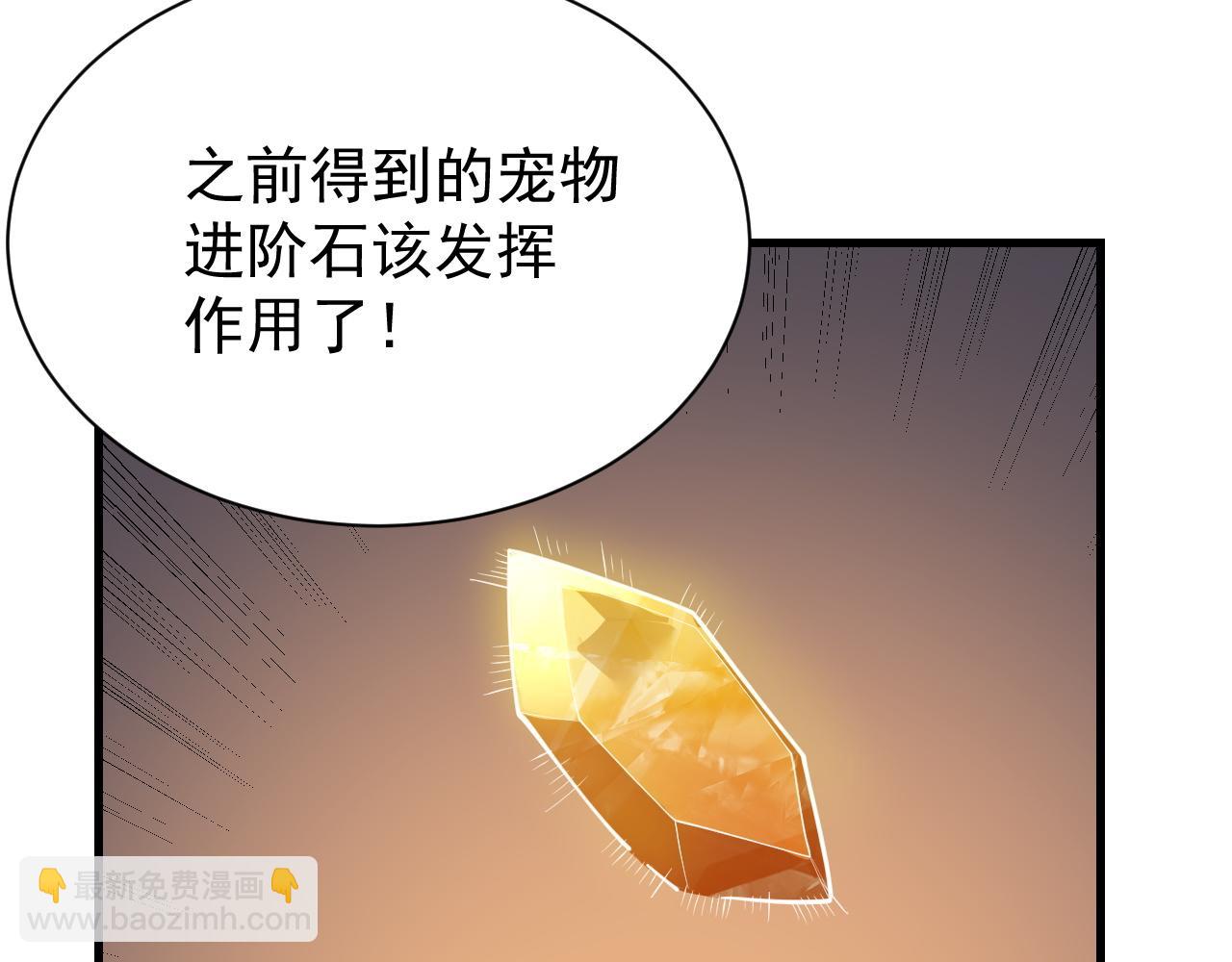 第99话 宠物进阶(1/4)-第99话