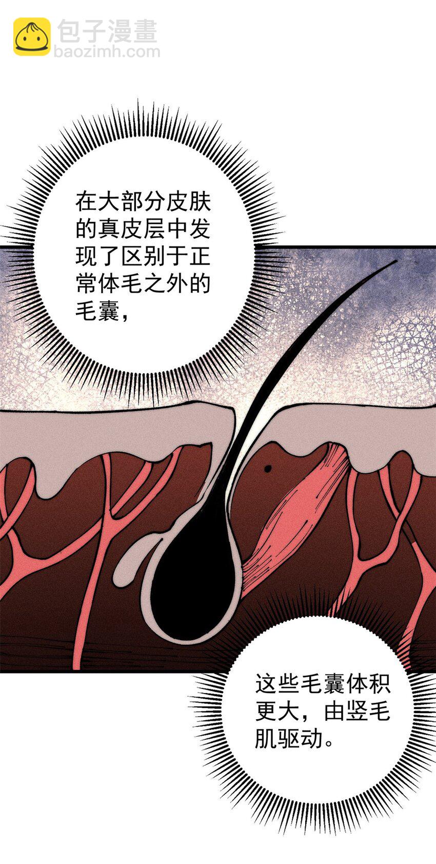 104 人造血族？(1/2)-第105话