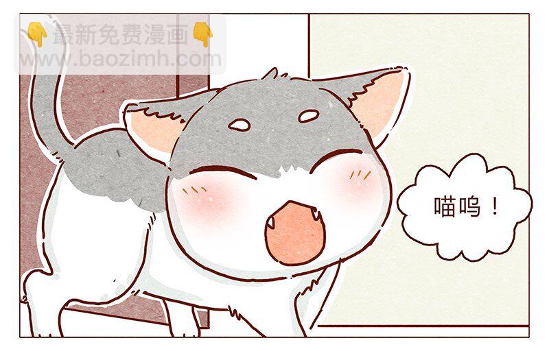 116话 区区人类竟敢威胁喵！！-第117话